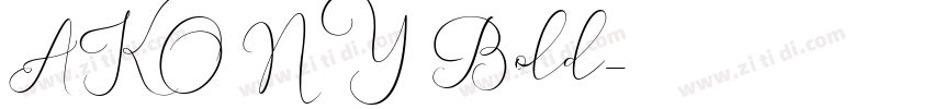 AKONY Bold字体转换